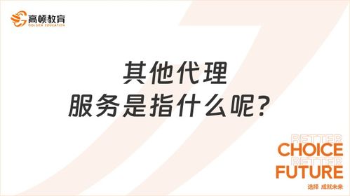 其他代理服务是指什么呢